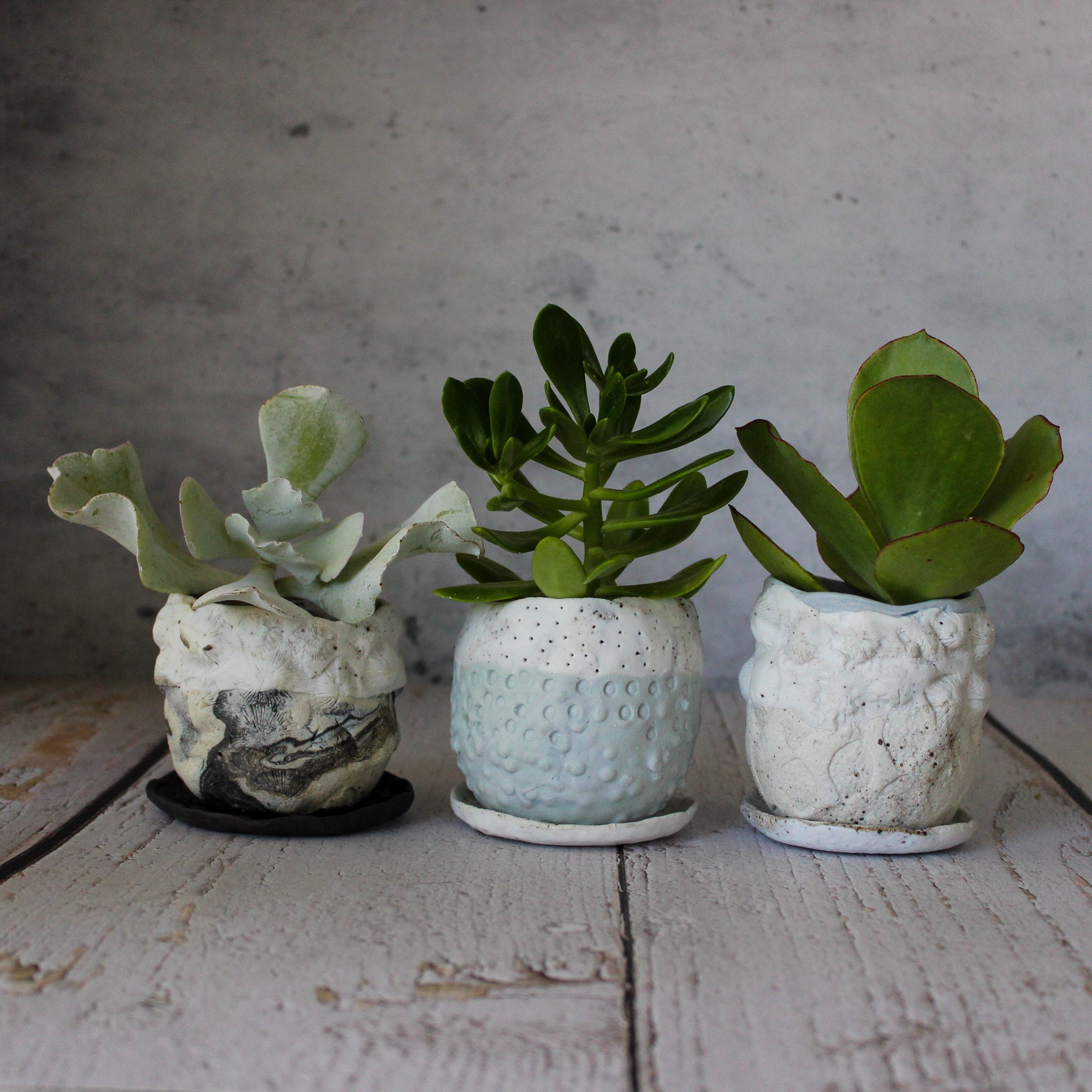 Ceramic Planter & Saucer Sets - Tribe Castlemaine