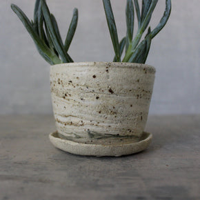 Ceramic Planter & Saucer Sets - Tribe Castlemaine