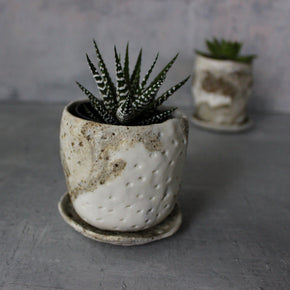 Ceramic Planter & Saucer Sets - Tribe Castlemaine