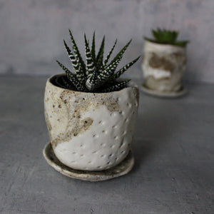 Ceramic Planter & Saucer Sets - Tribe Castlemaine