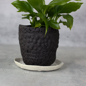 Ceramic Planter & Saucer Sets - Tribe Castlemaine