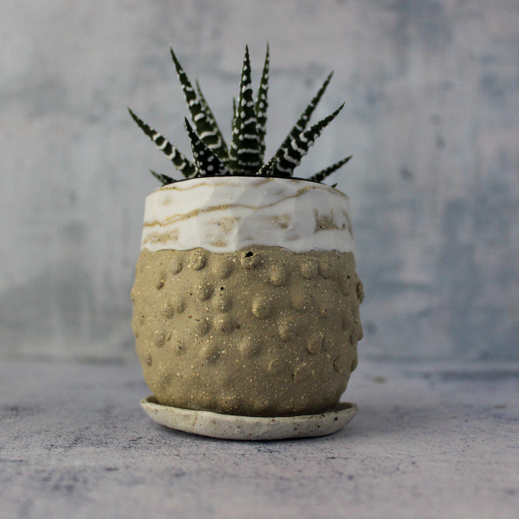 Ceramic Planter & Saucer Sets - Tribe Castlemaine