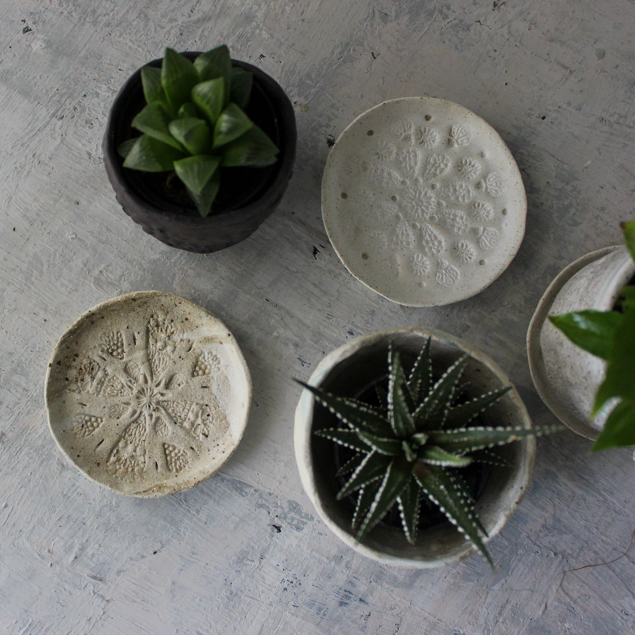 Ceramic Planter & Saucer Sets - Tribe Castlemaine