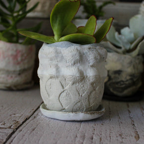 Ceramic Planter & Saucer Sets - Tribe Castlemaine