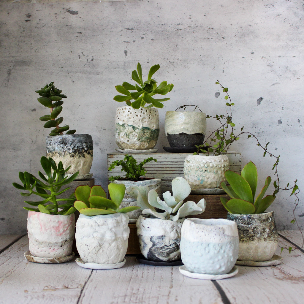 Ceramic Planter & Saucer Sets - Tribe Castlemaine