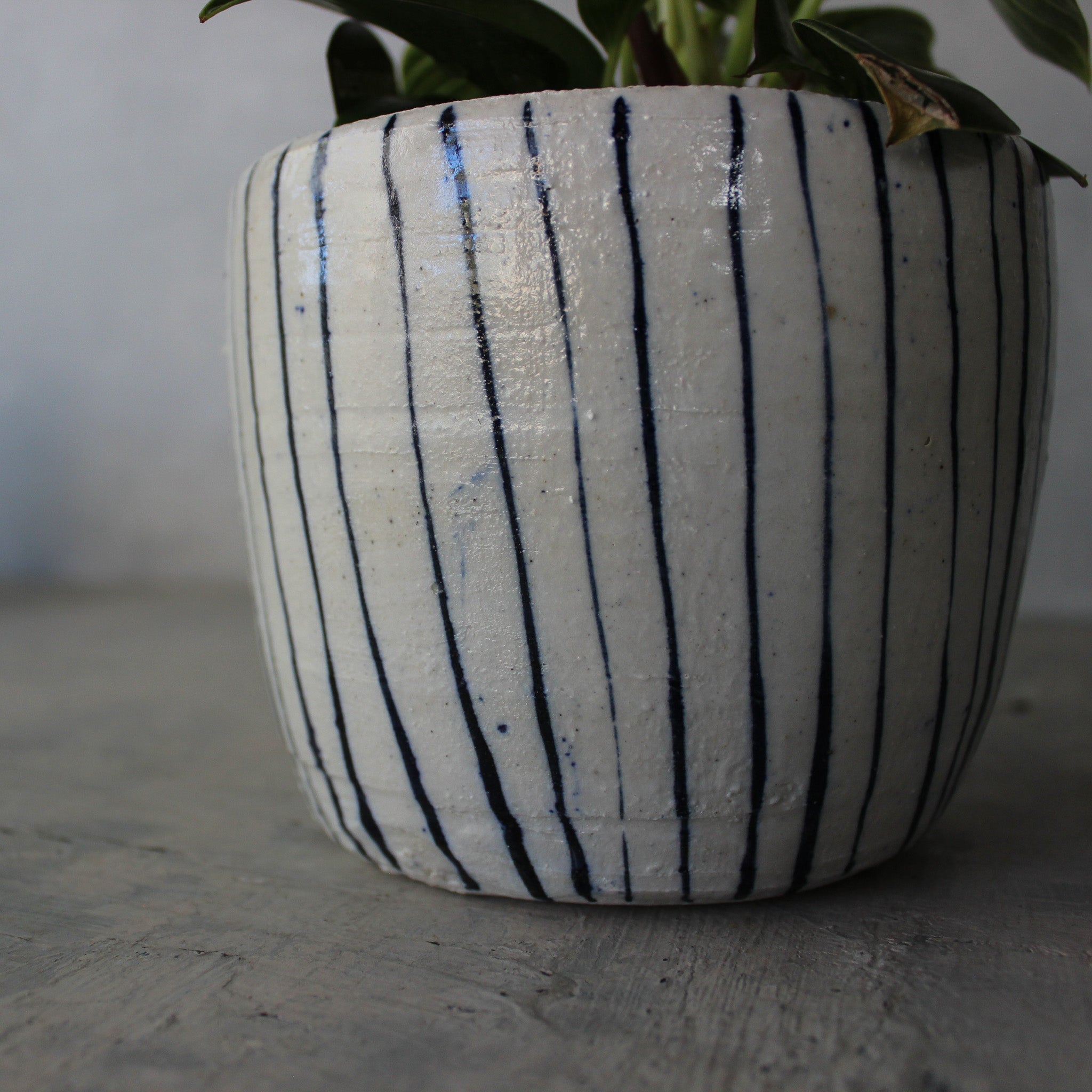 Ceramic Planters : Blue Lines - Tribe Castlemaine