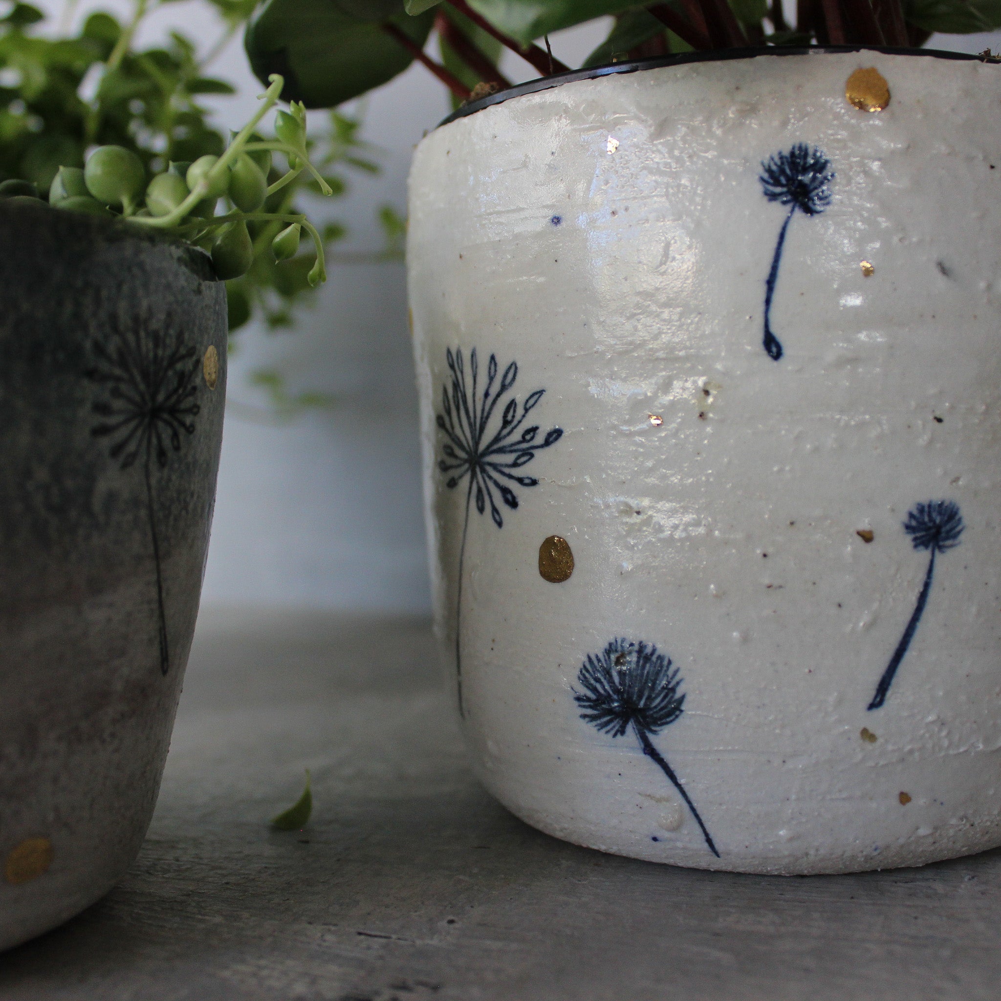 Ceramic Planters Dandelion - Tribe Castlemaine