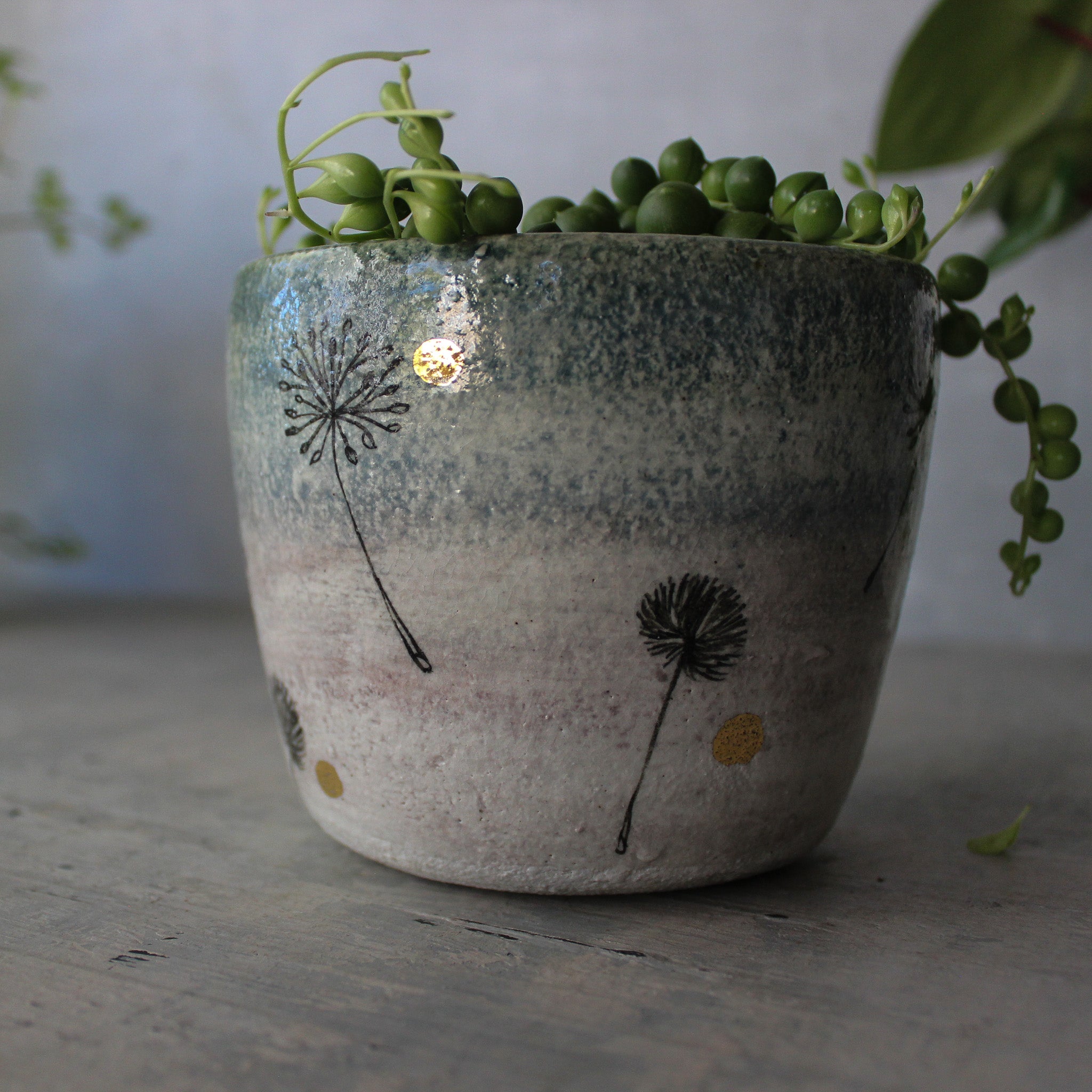 Ceramic Planters Dandelion - Tribe Castlemaine