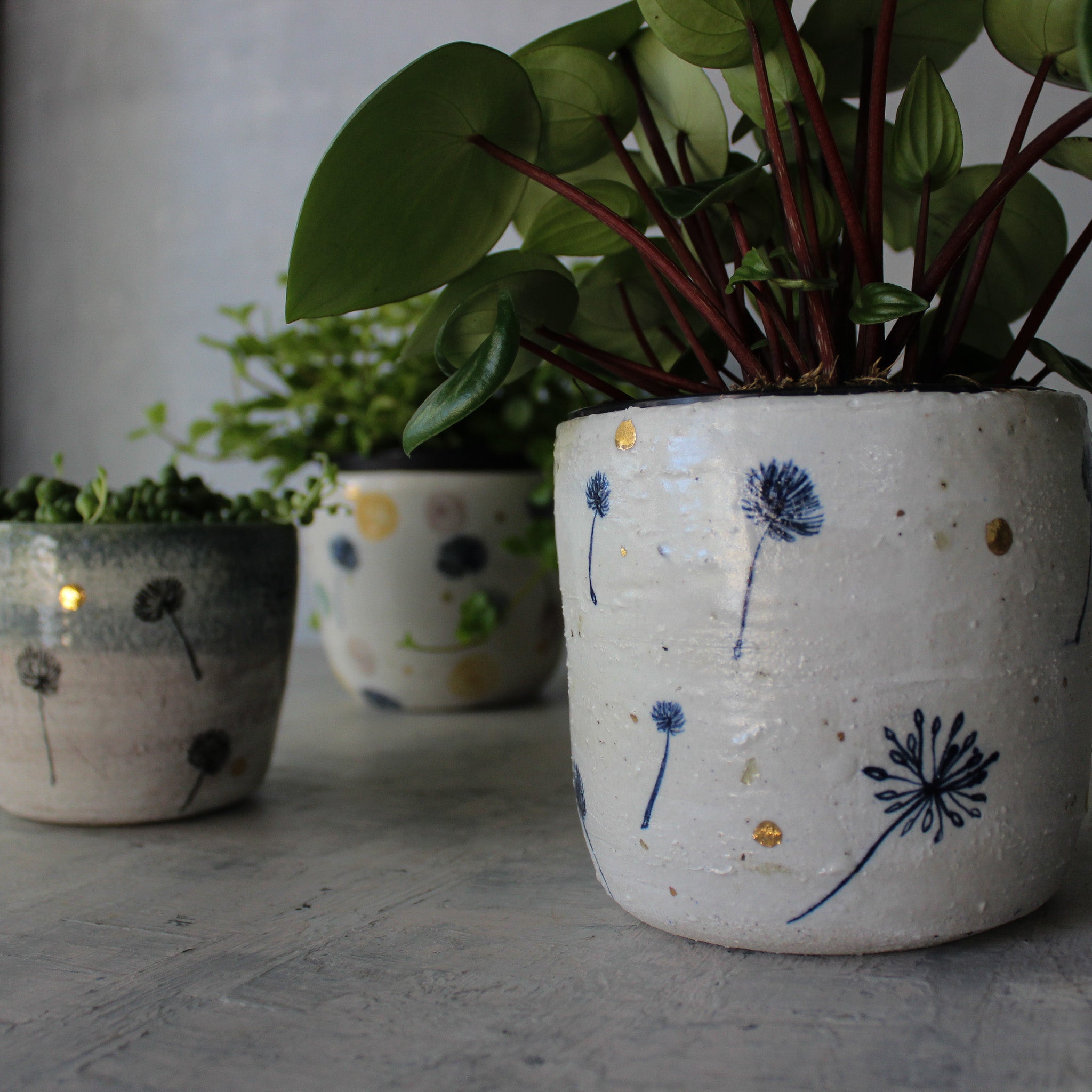 Ceramic Planters Dandelion - Tribe Castlemaine