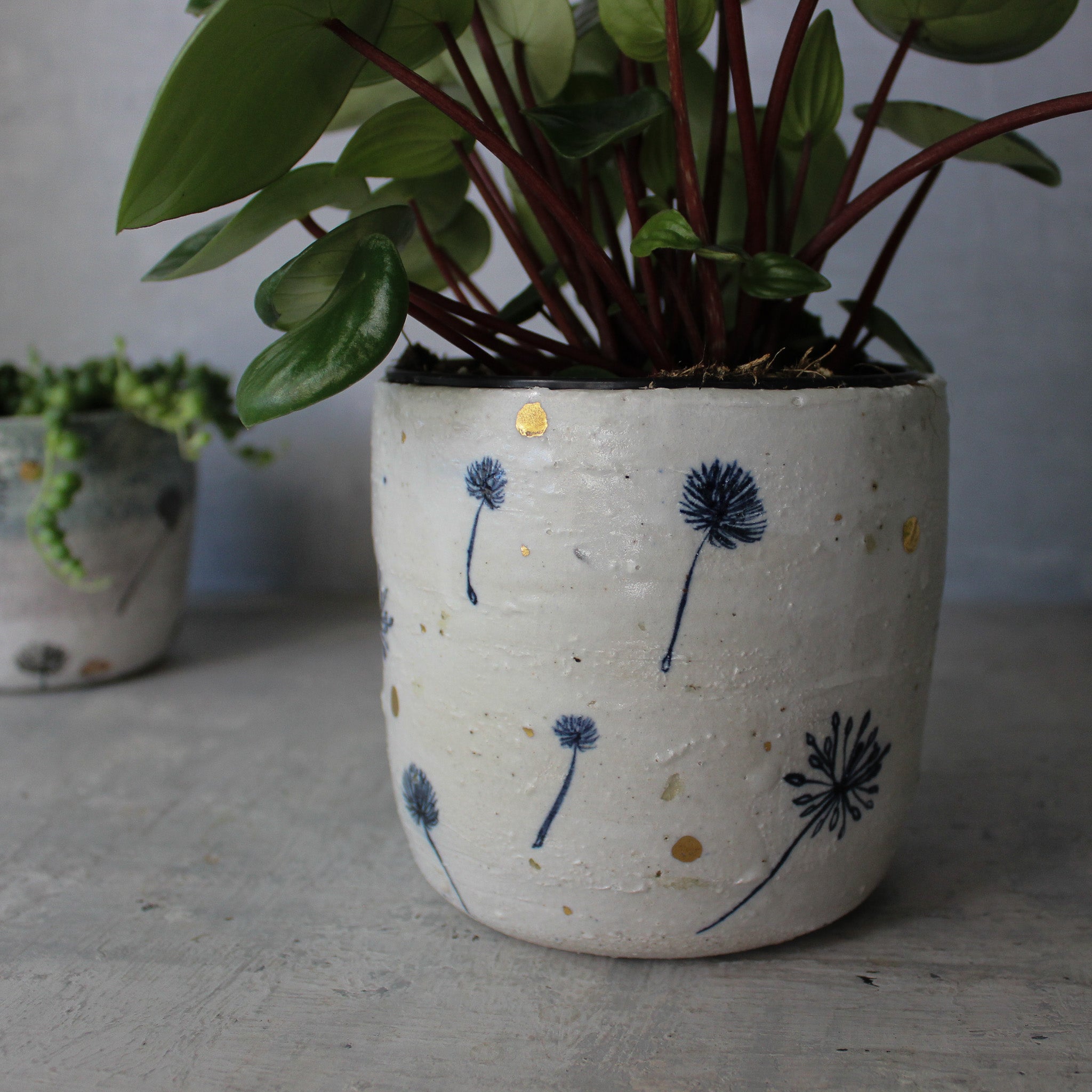 Ceramic Planters Dandelion - Tribe Castlemaine