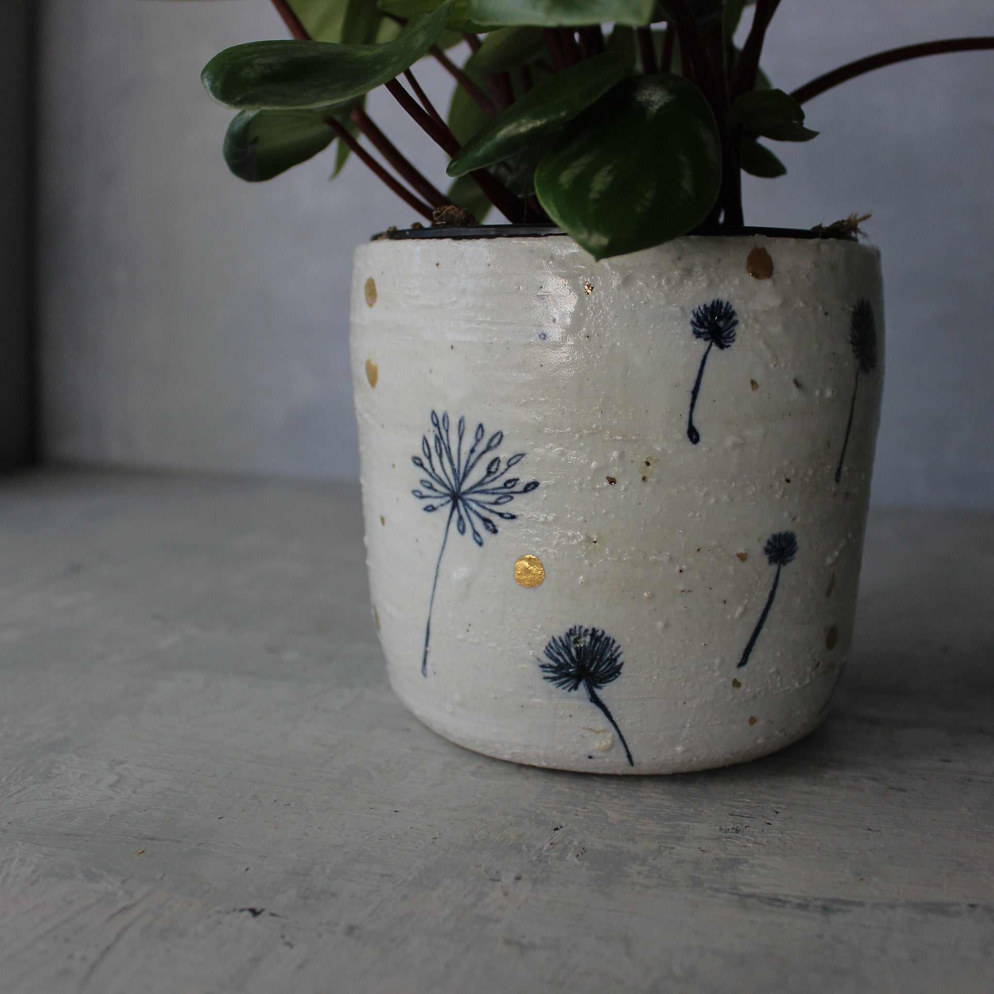 Ceramic Planters Dandelion - Tribe Castlemaine