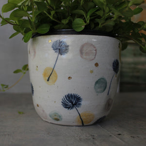 Ceramic Planters Dandelion - Tribe Castlemaine