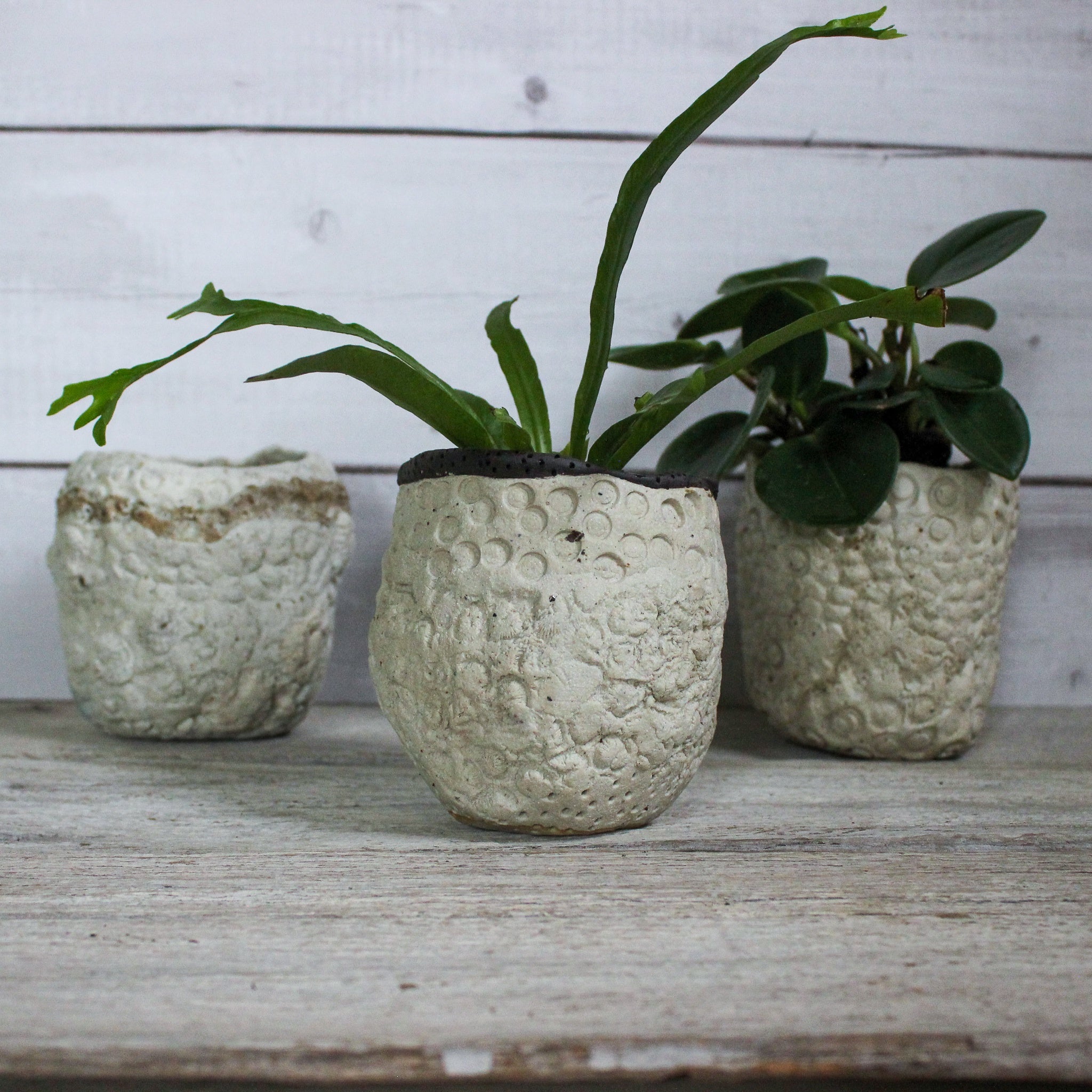 Ceramic Planters Textured - Tribe Castlemaine