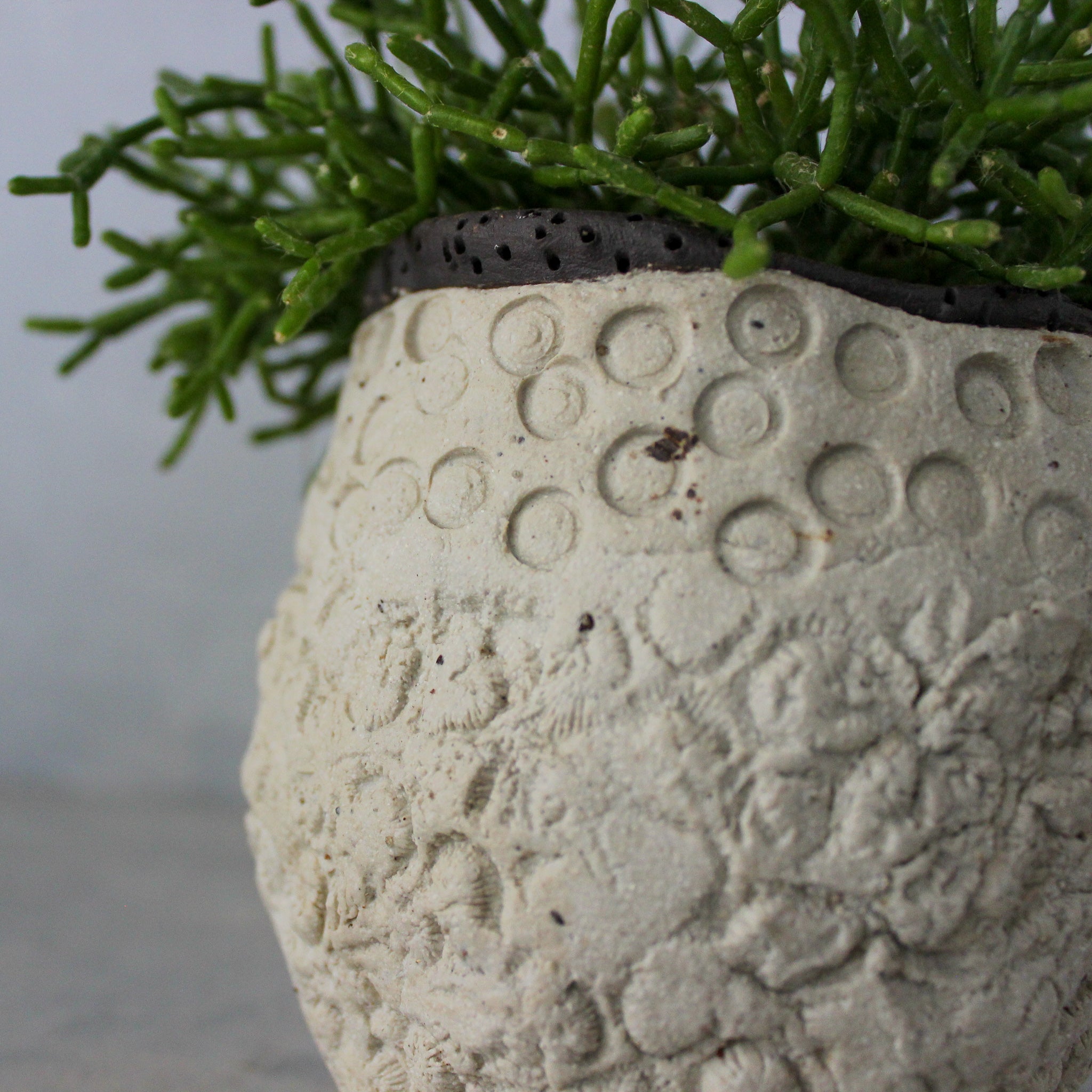 Ceramic Planters Textured - Tribe Castlemaine