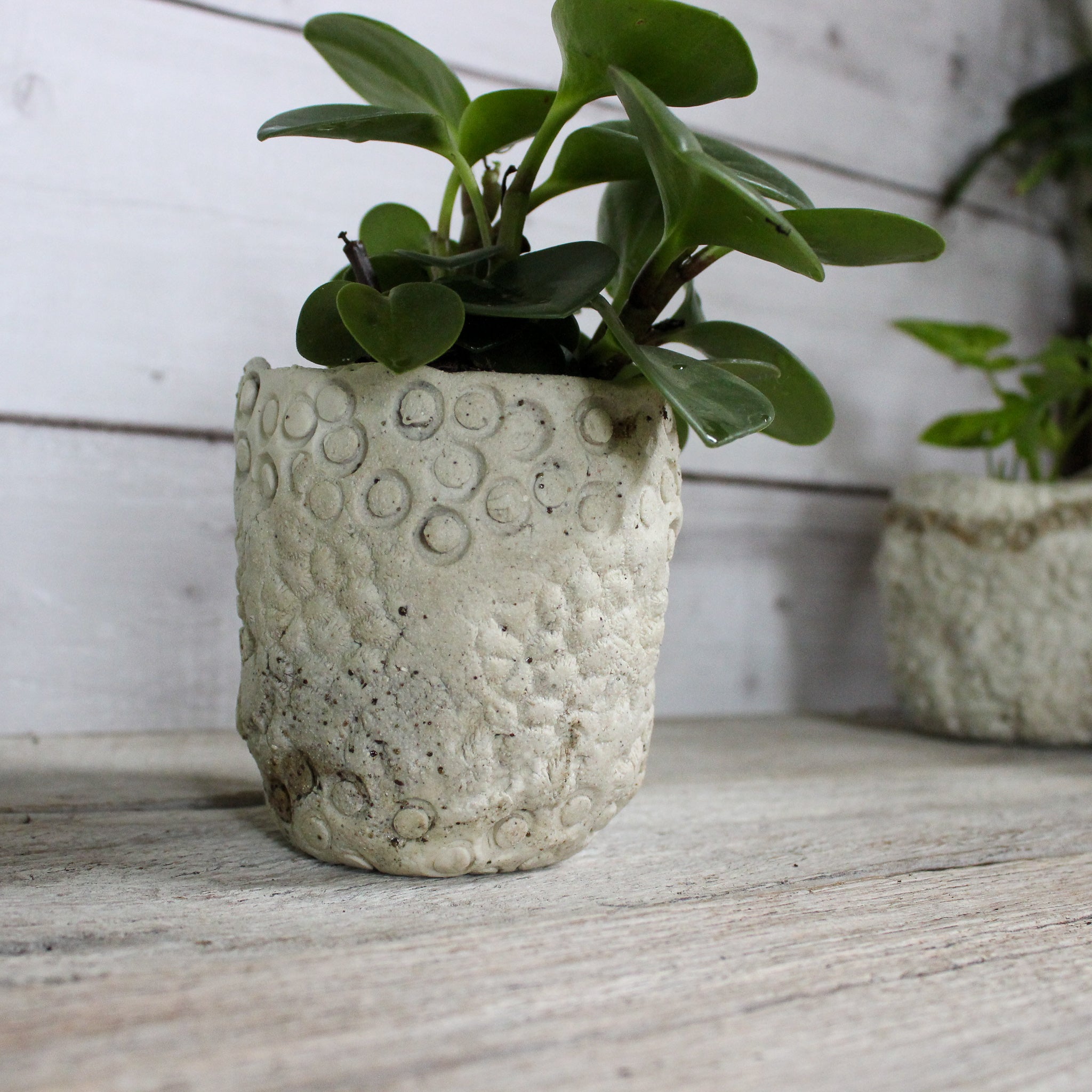 Ceramic Planters Textured - Tribe Castlemaine