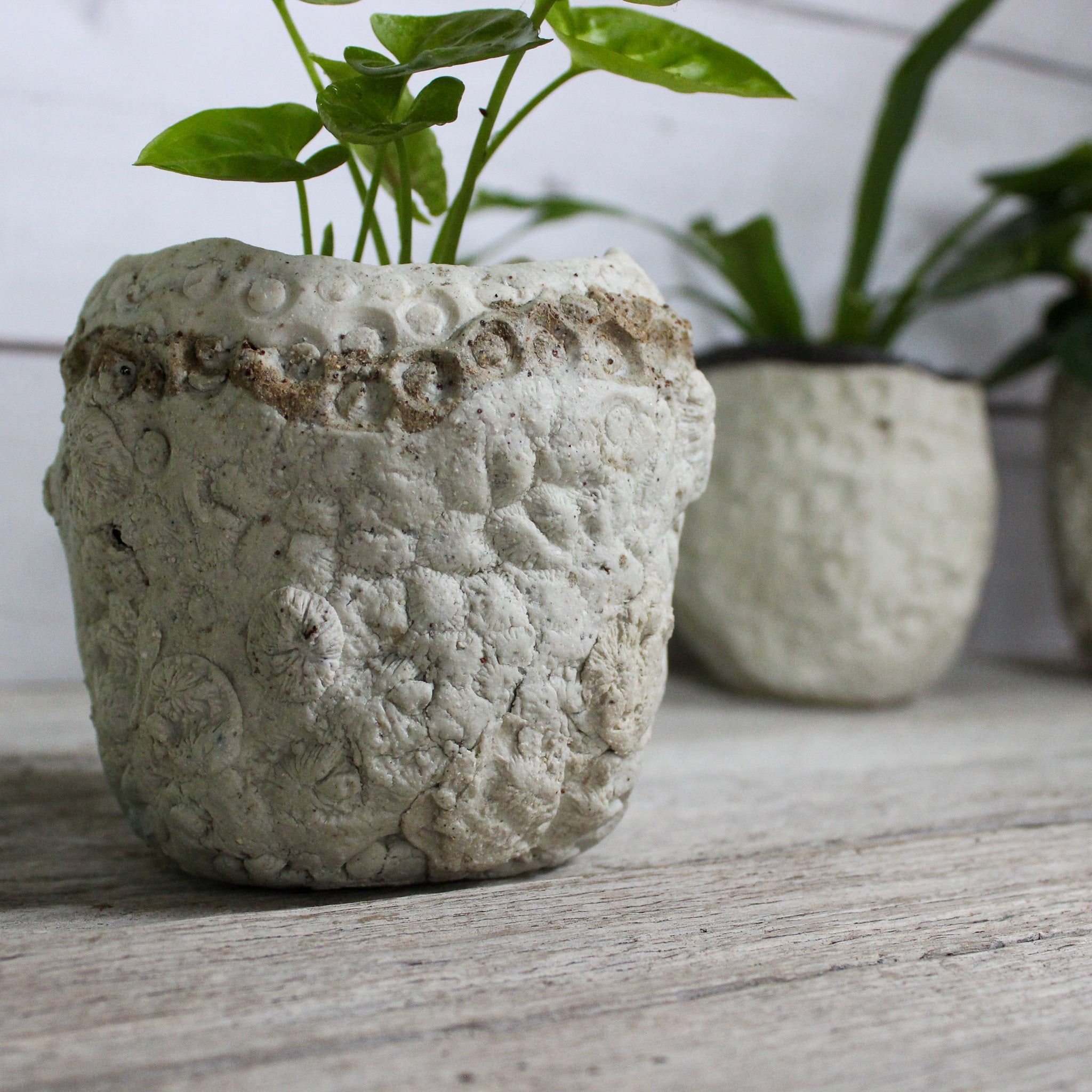 Ceramic Planters Textured - Tribe Castlemaine