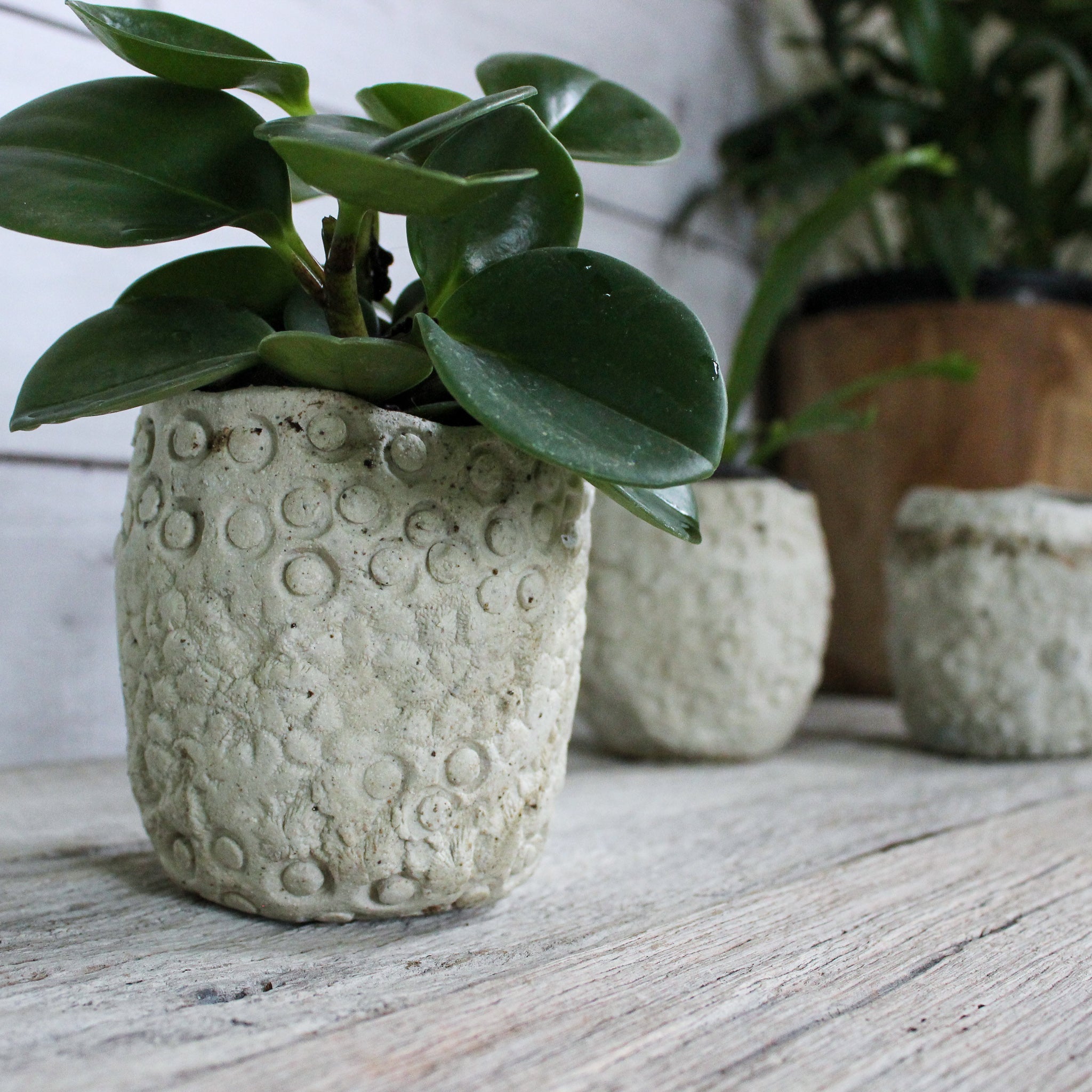 Ceramic Planters Textured - Tribe Castlemaine