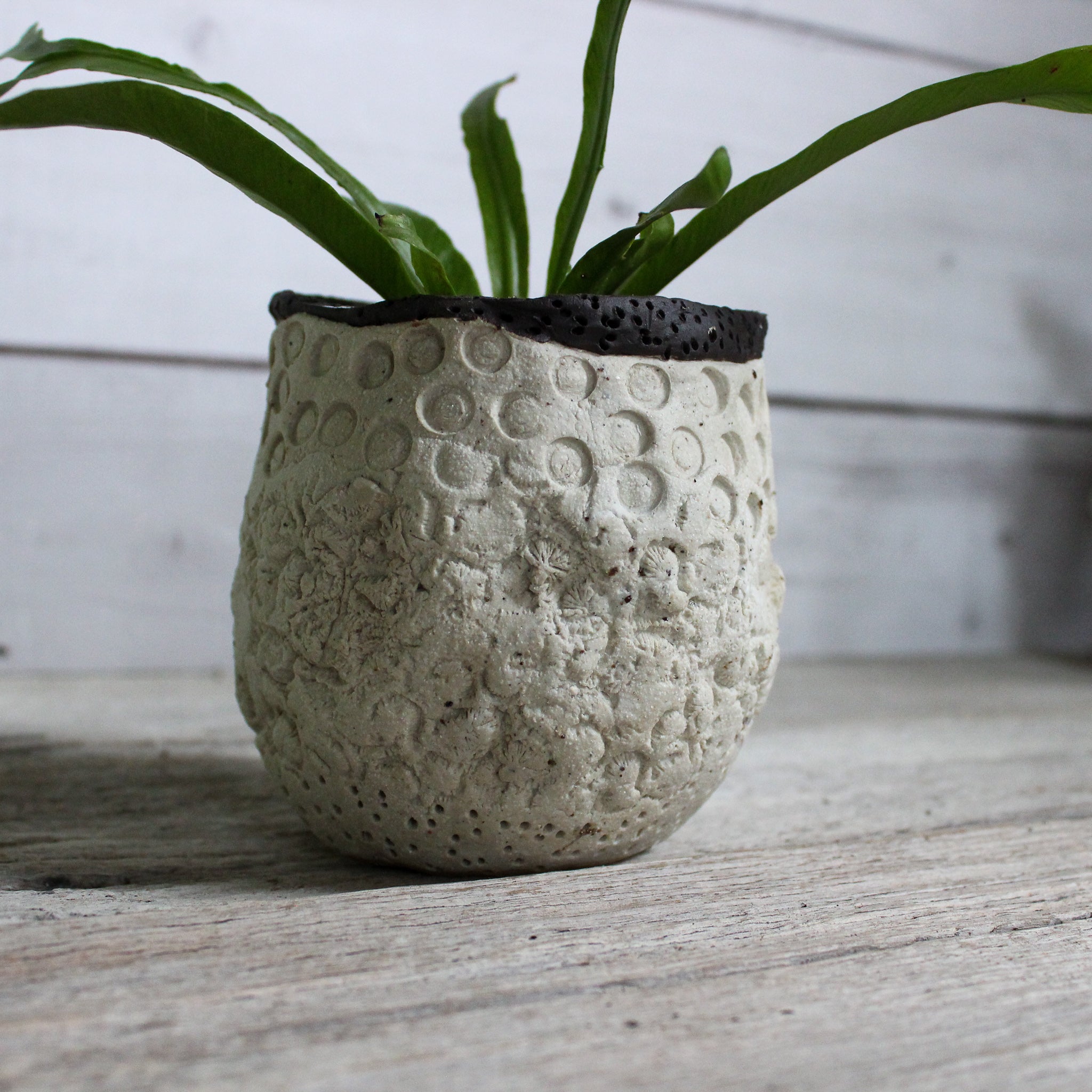 Ceramic Planters Textured - Tribe Castlemaine