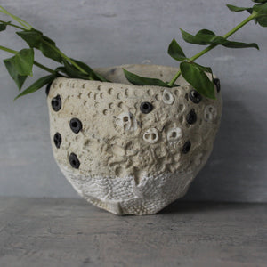 Ceramic Wall Planters - Tribe Castlemaine