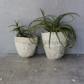 Ceramic Wall Planters - Tribe Castlemaine