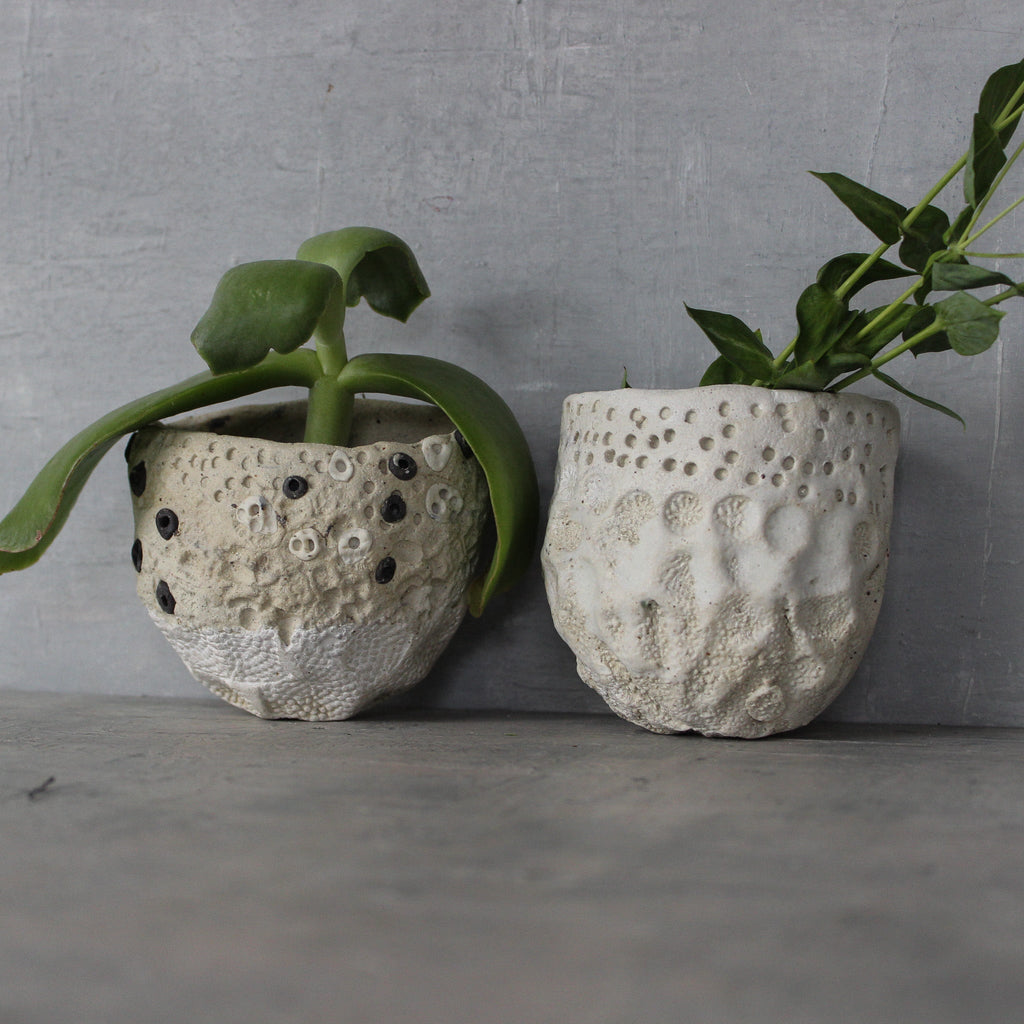 Ceramic Wall Planters - Tribe Castlemaine