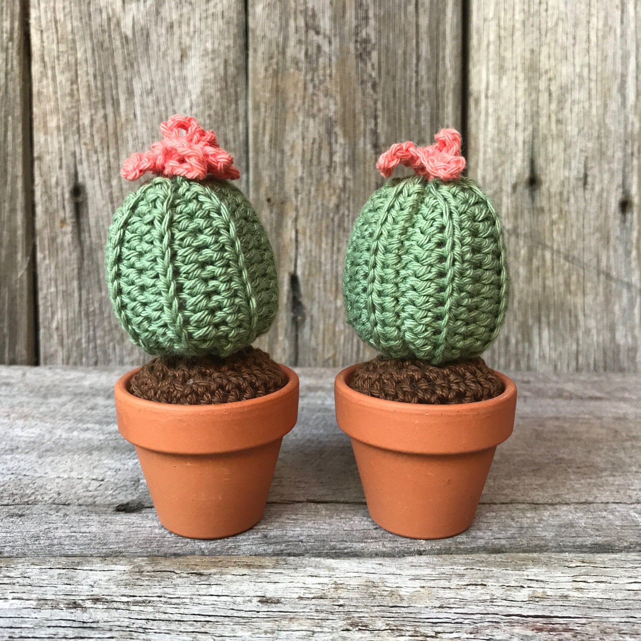 Crochet Cactus - Tribe Castlemaine