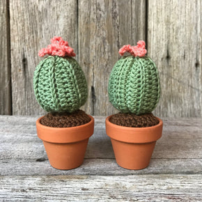 Crochet Cactus - Tribe Castlemaine