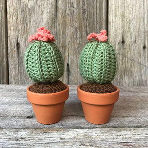 Crochet Cactus - Tribe Castlemaine