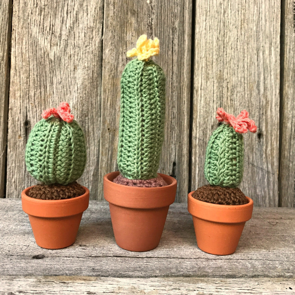 Crochet Cactus - Tribe Castlemaine