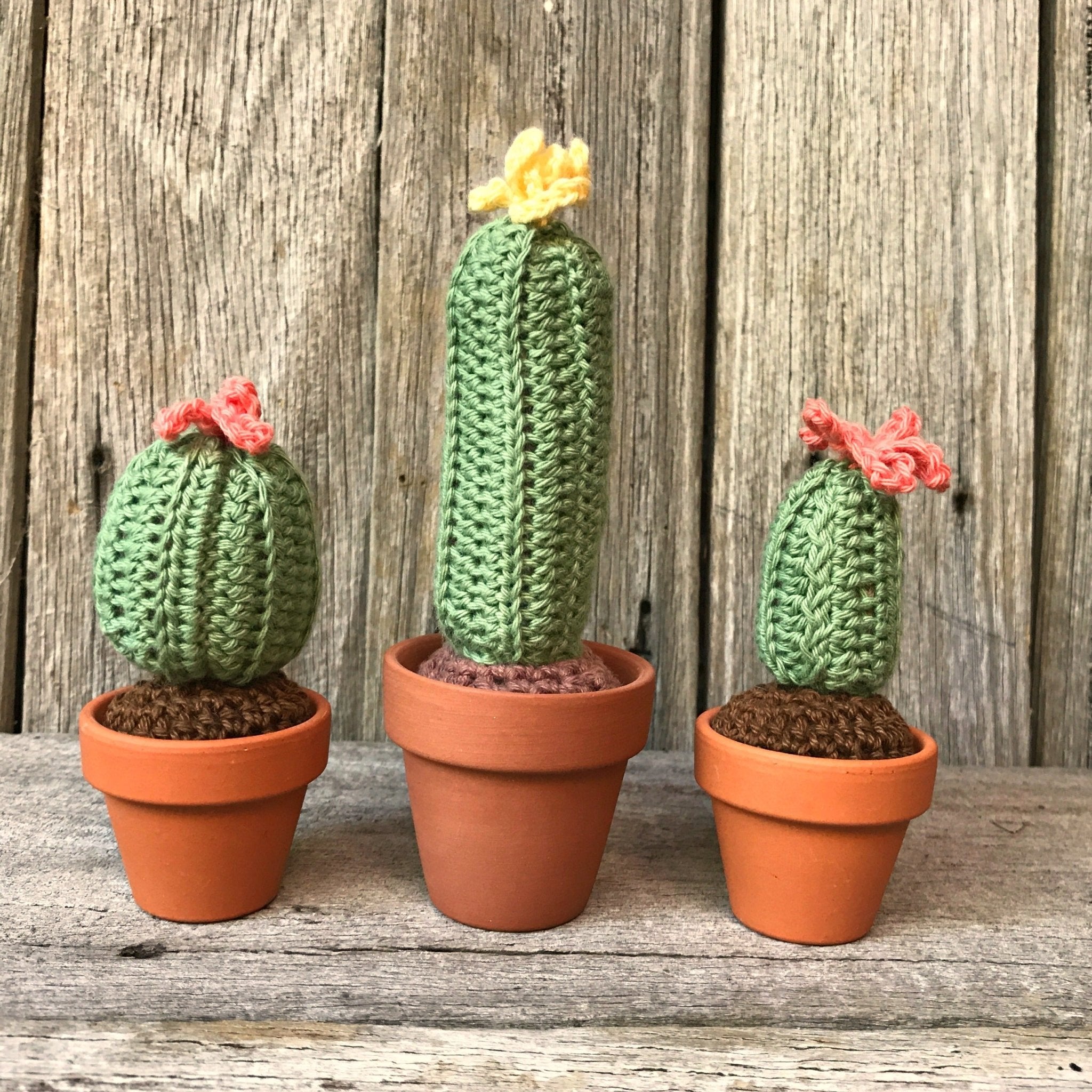 Crochet Cactus - Tribe Castlemaine