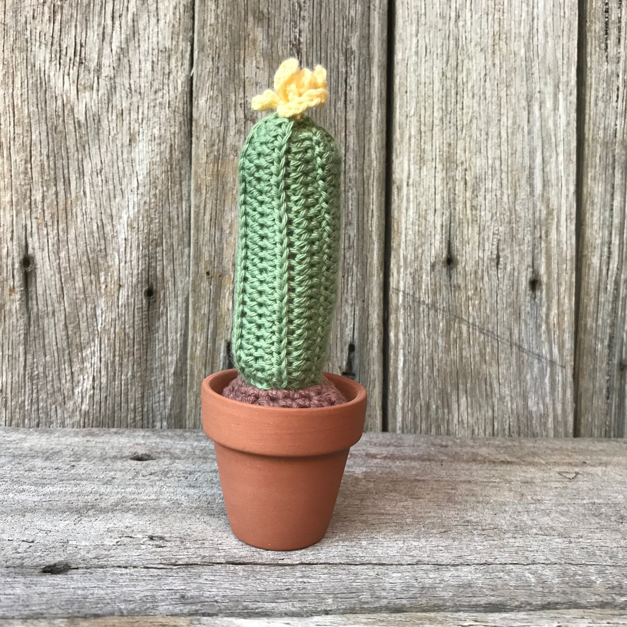 Crochet Cactus - Tribe Castlemaine