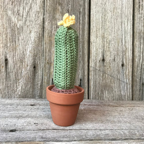 Crochet Cactus - Tribe Castlemaine