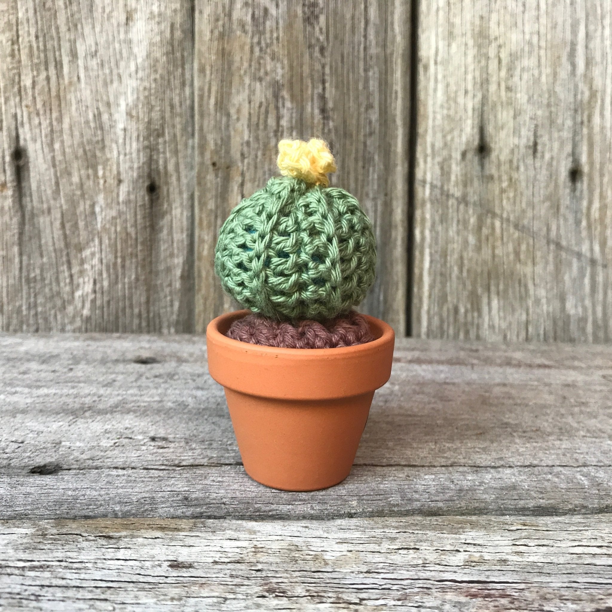 Crochet Cactus - Tribe Castlemaine