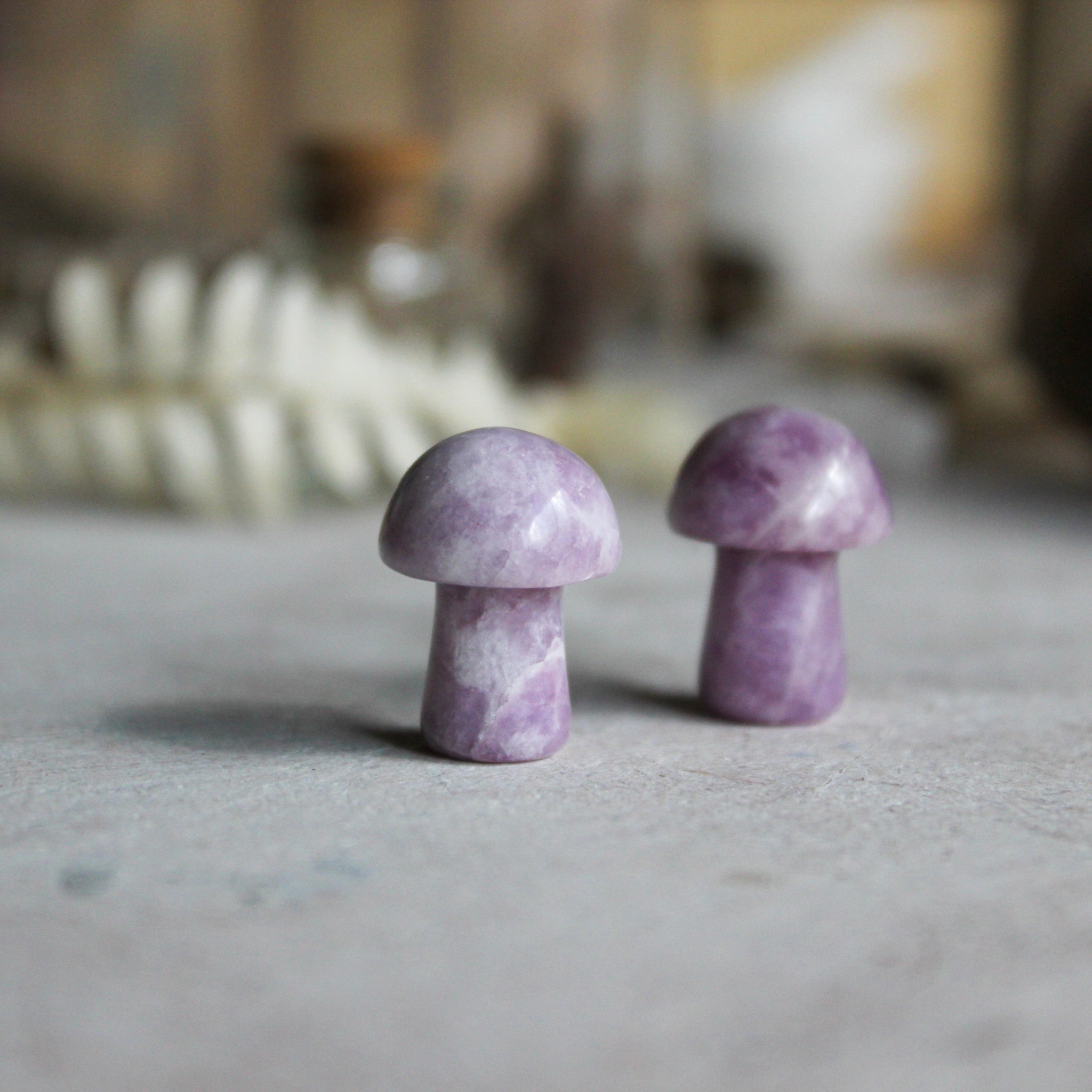 Crystal Mushrooms - Tribe Castlemaine