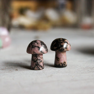 Crystal Mushrooms - Tribe Castlemaine