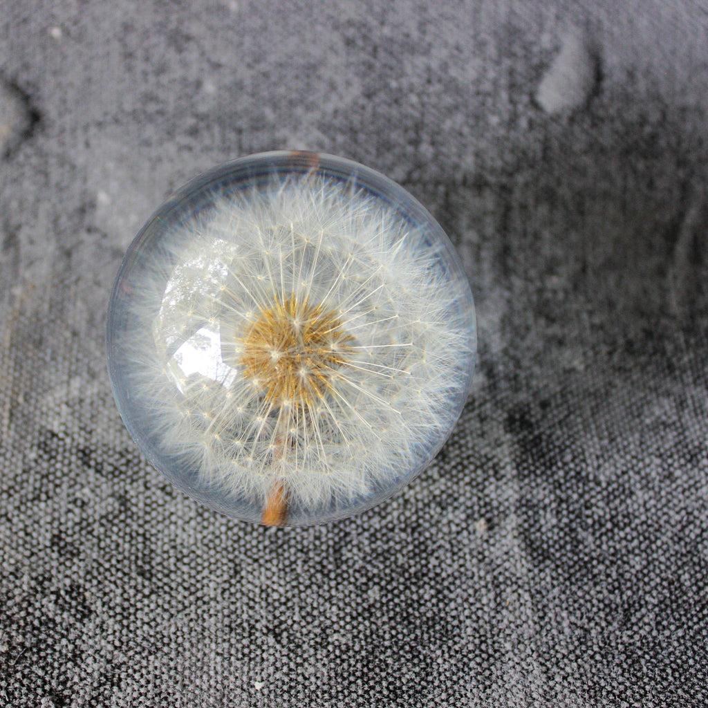 Dandelion Resin Ball - Tribe Castlemaine