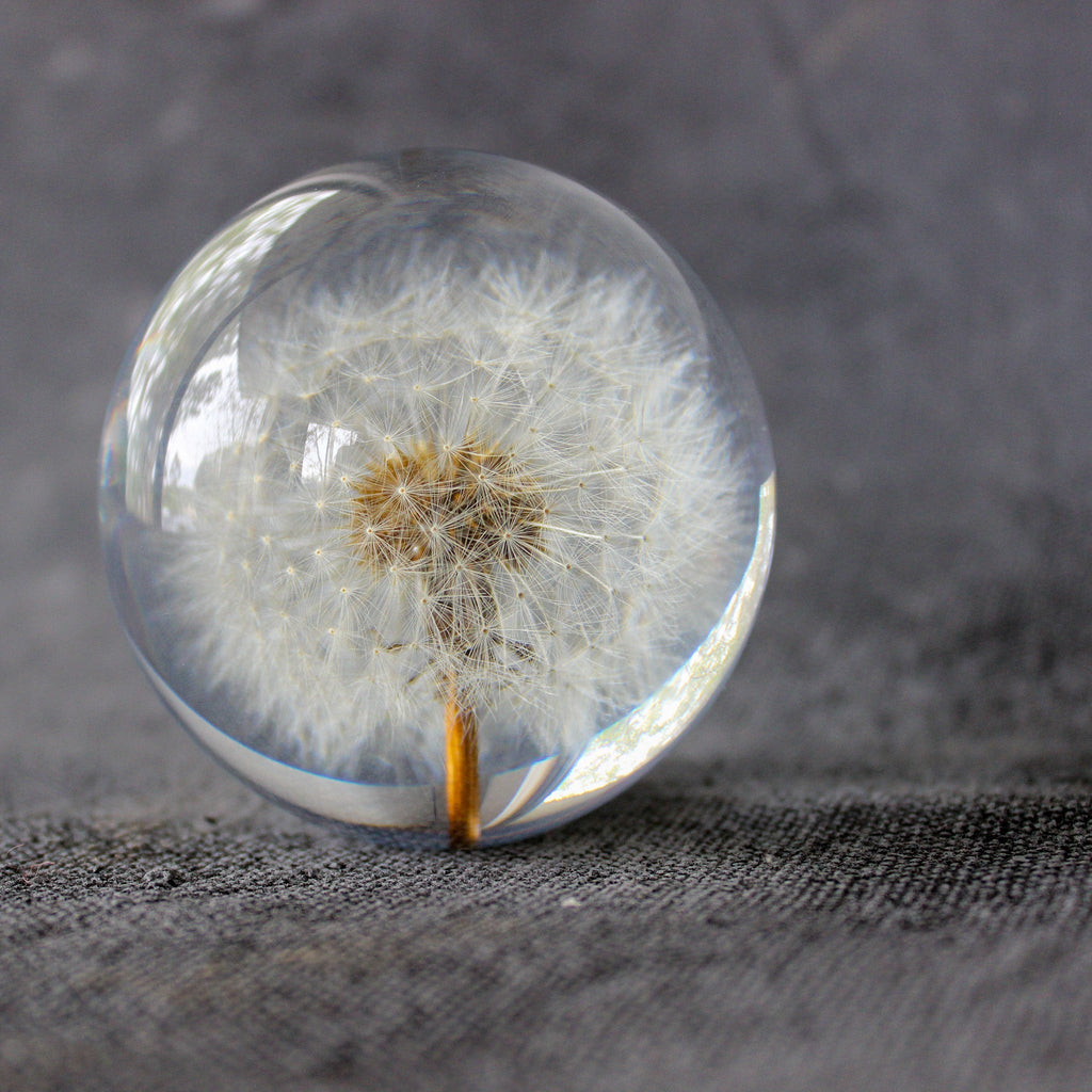 Dandelion Resin Ball - Tribe Castlemaine