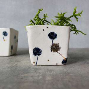 Dandelion Square Planters - Tribe Castlemaine