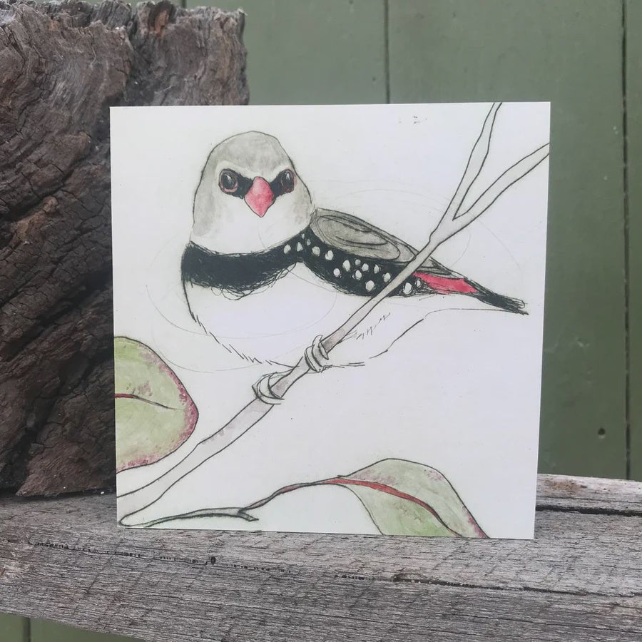 Diamond Firetail Bush Bird Card - Tribe Castlemaine