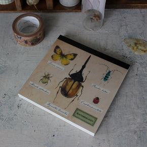 Entomology Stationery - Tribe Castlemaine