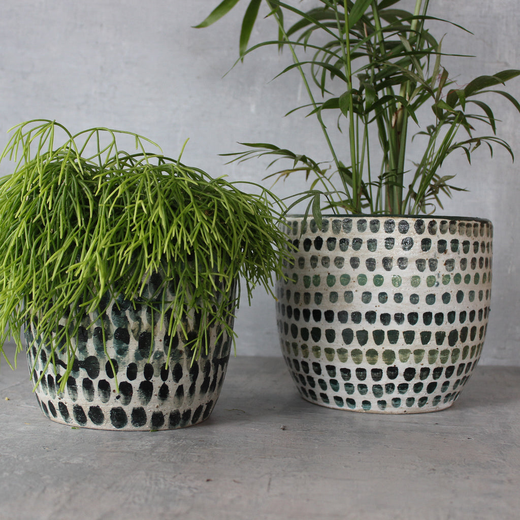Extra Large Ceramic Planters Dots - Tribe Castlemaine