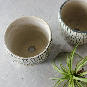 Extra Large Ceramic Planters Wing - Tribe Castlemaine