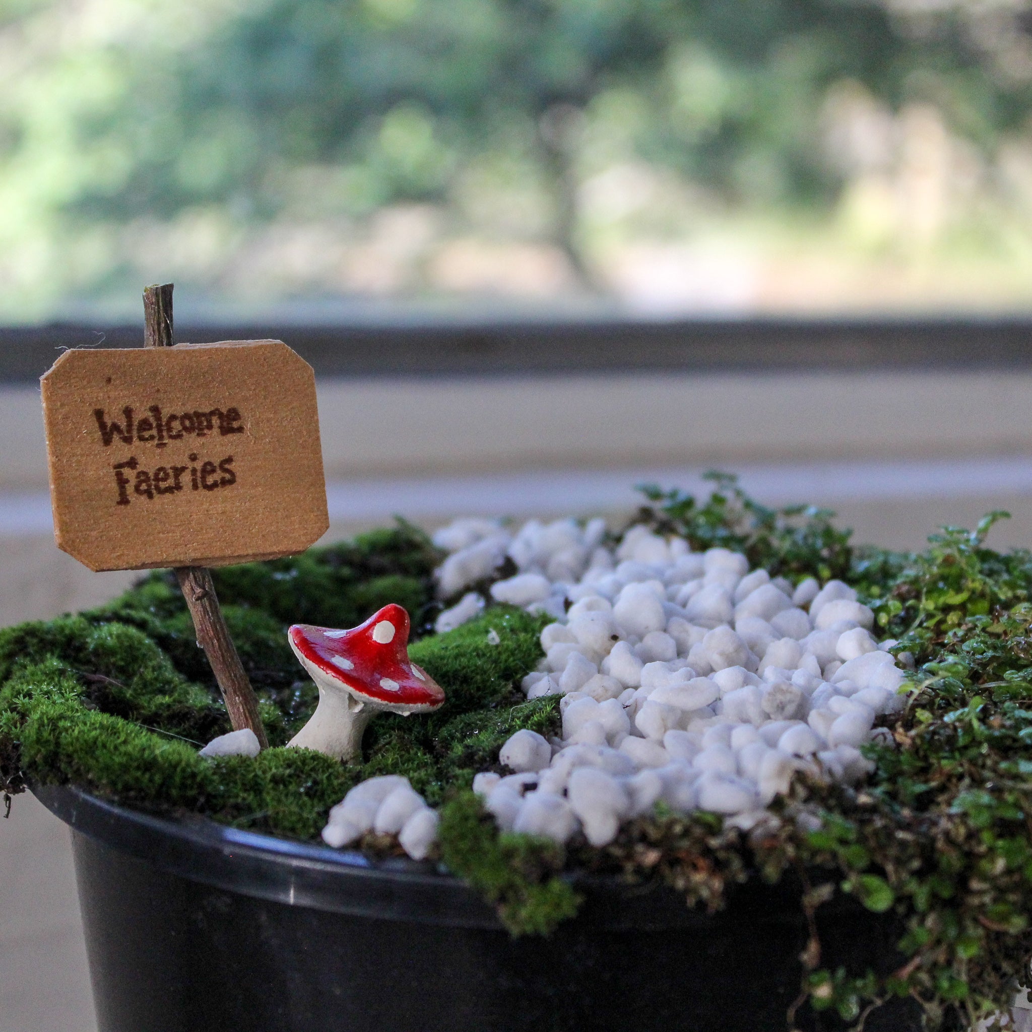 Faerie Garden Kit - Tribe Castlemaine