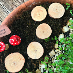 Faerie Garden Things - Tribe Castlemaine
