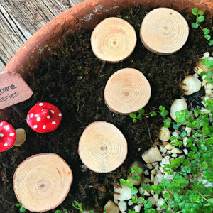 Faerie Garden Things - Tribe Castlemaine