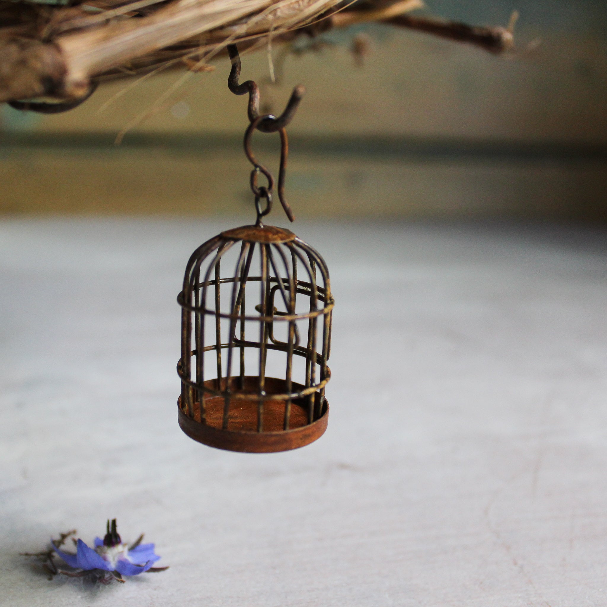 Faerie Garden Things - Tribe Castlemaine