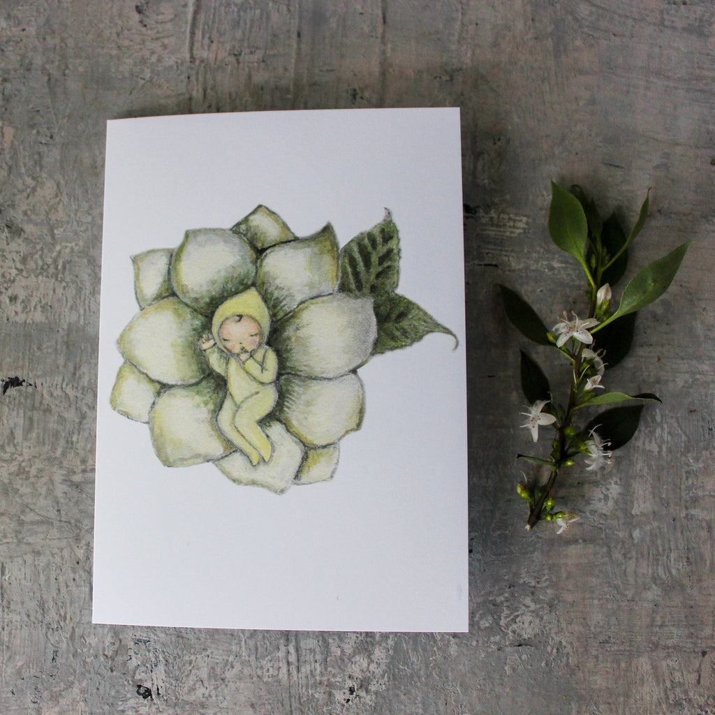 Formidable Forest Card 'Lotus Baby' - Tribe Castlemaine