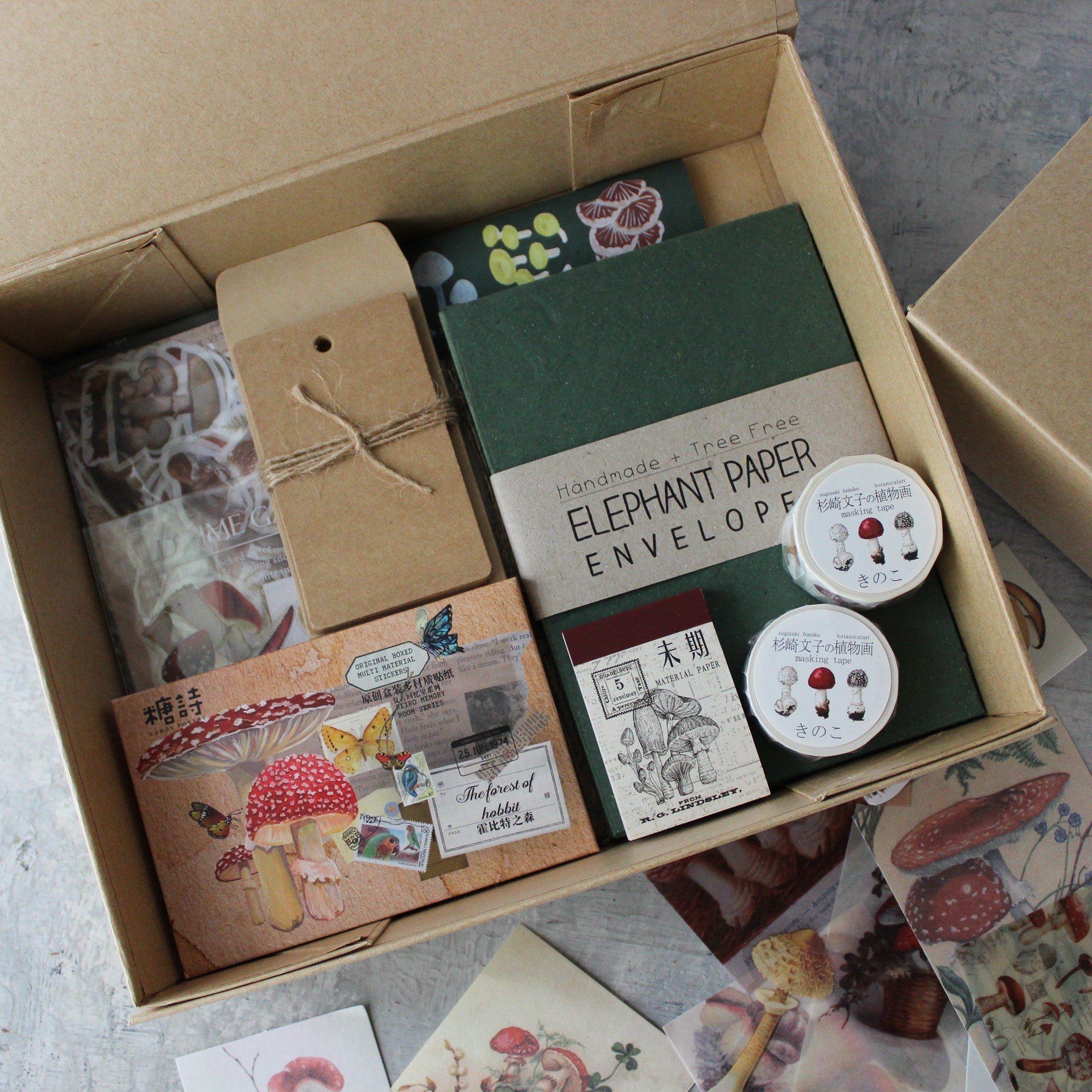 Fungi Papercraft Boxed Kit - Tribe Castlemaine