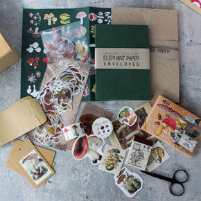 Fungi Papercraft Boxed Kit - Tribe Castlemaine