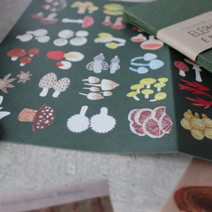 Fungi Papercraft Boxed Kit - Tribe Castlemaine